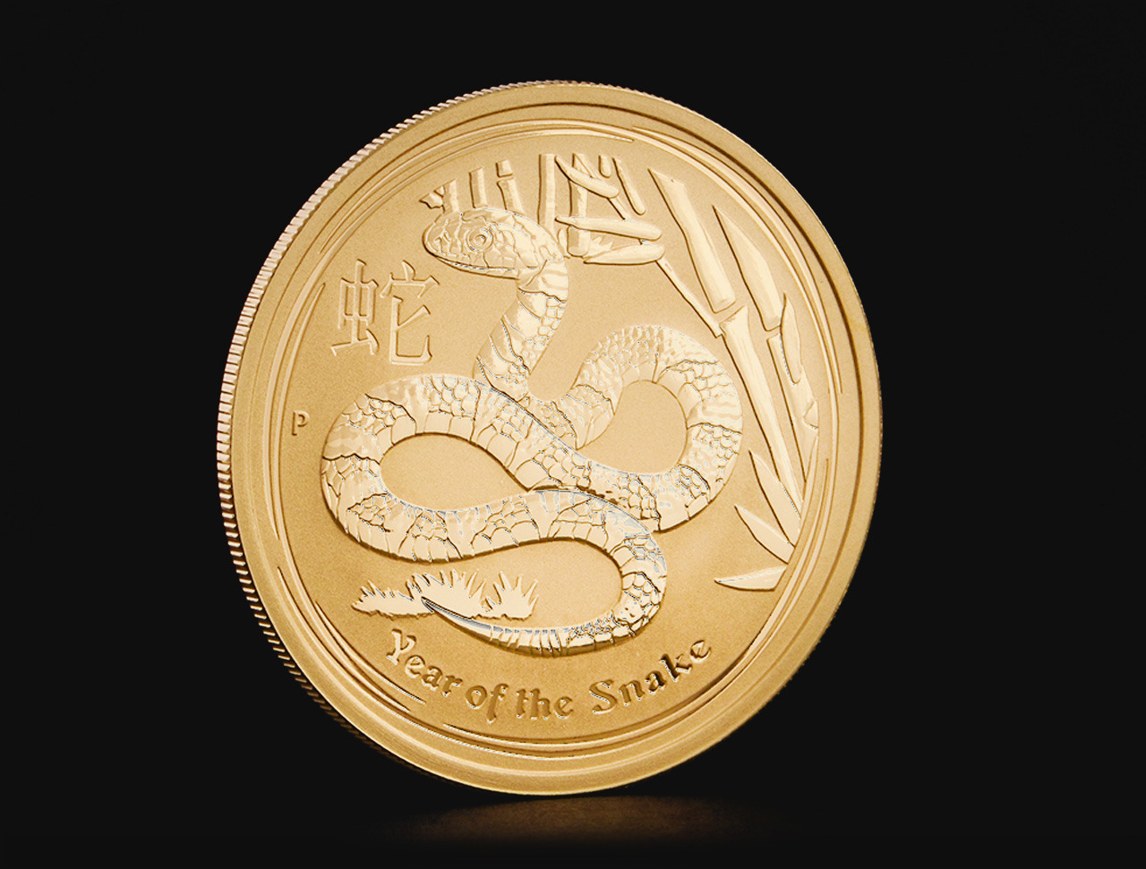 豊富なギフト australian_lunar_2013_snake_go その他観葉植物