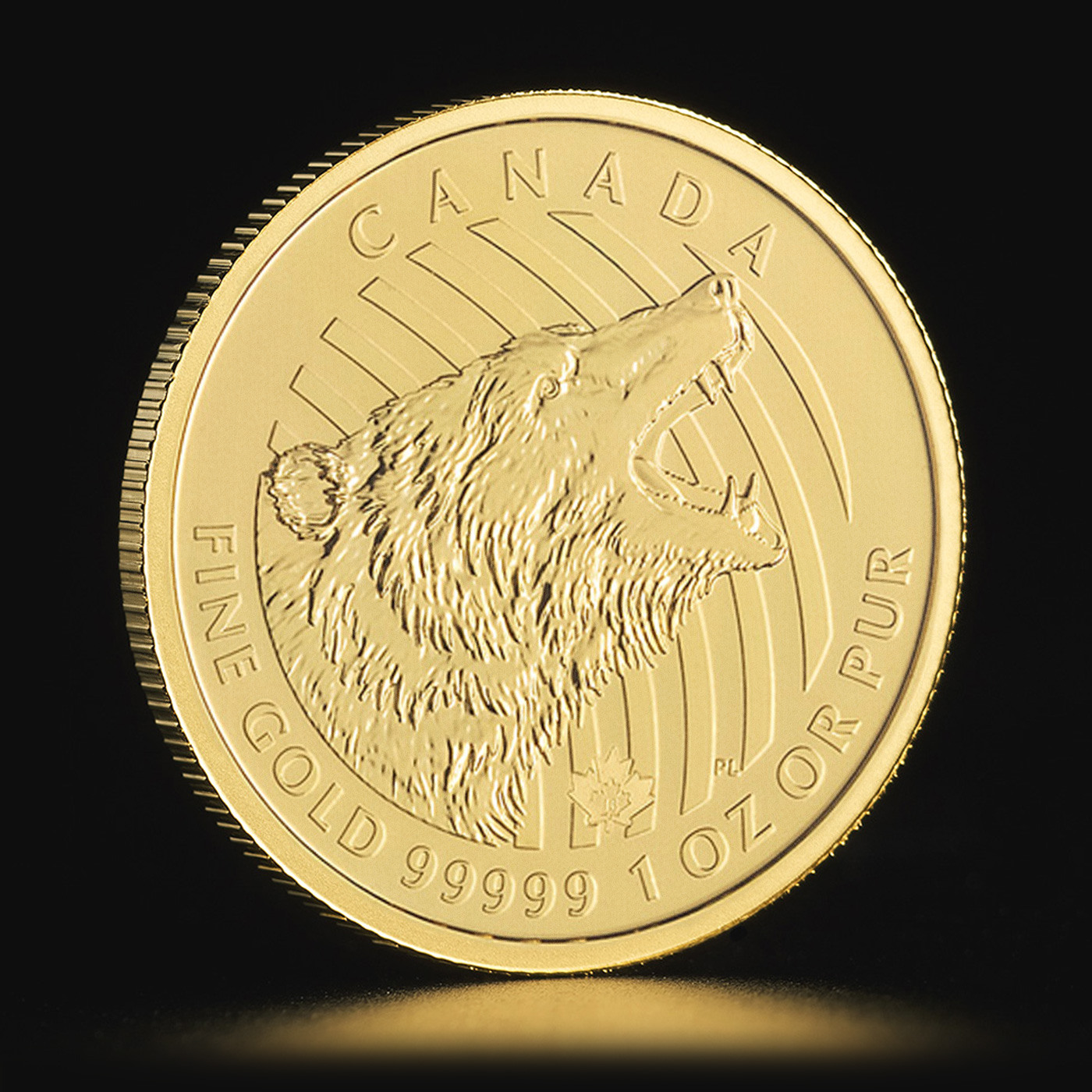 canadian_roaring_grizzly_gold_