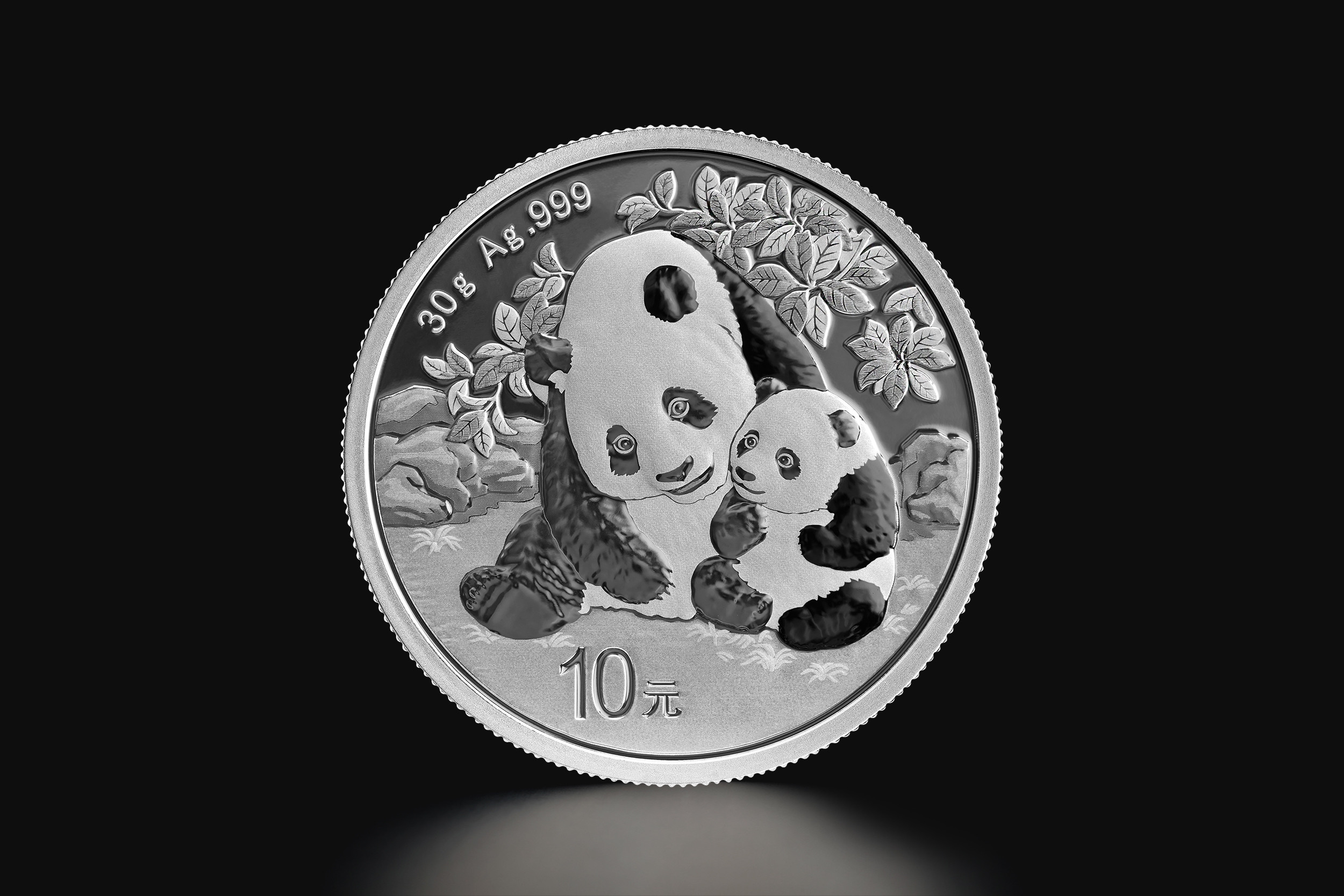30 g Chinese Panda 2024 silver coin | Tavex