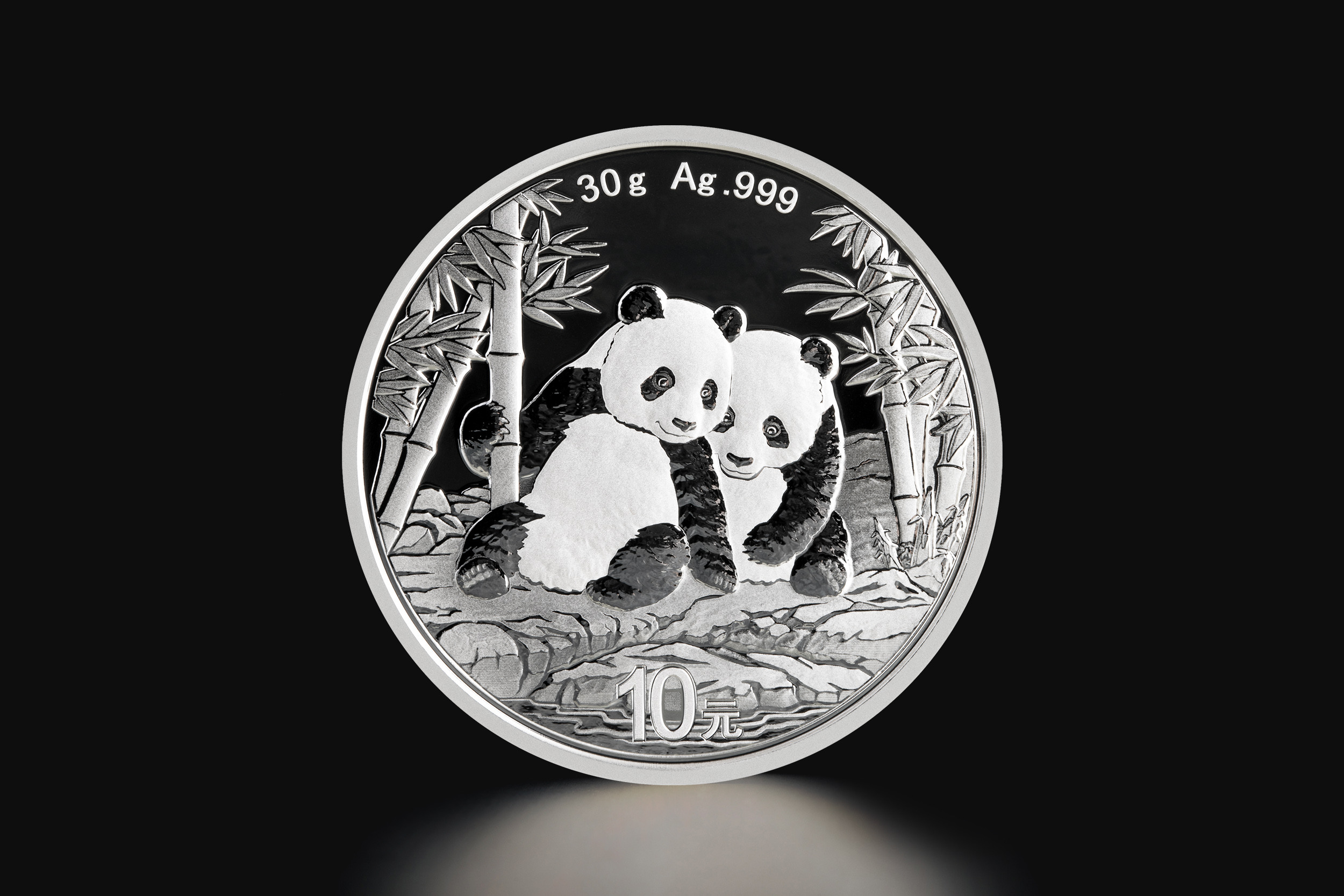 china-panda-2026-30g-silver-