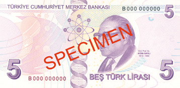 5 ty bagsiden